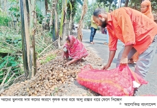 দাম না পাওয়ায় আলু ফেলে দিচ্ছেন কৃষক, ৩ কোটি টাকার ক্ষতি  