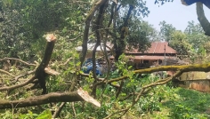 শ্রীপুরে কালবৈশাখী ঝড়ের কবলে ৩ গ্রাম ক্ষতিগ্রস্ত