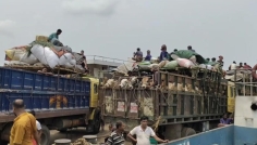দৌলতদিয়া-পাটুরিয়া নৌরুটে বেড়েছে গরুবাহী গাড়ির চাপ