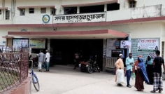 চুয়াডাঙ্গায় পিকআপের ধাক্কায় কৃষক নিহত