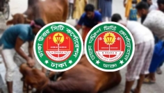 রাজধানীতে কোরবানির বর্জ্য অপসারণে প্রস্তুত সাড়ে ২৯ হাজার জনবল