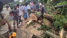 বোয়ালখালীতে ঘূর্ণিবাতাসে আহত ৯, ক্ষতিগ্রস্ত ঘরবাড়ি ও যানবাহন