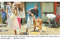 দুই হাজার টাকার চামড়া বিক্রি ৫০০ টাকায়   