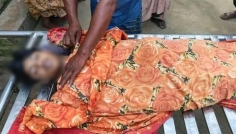 বোয়ালমারীতে সাপের কামড়ে কিশোরের মৃত্যু