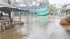 ফুঁসে উঠেছে সর্বনাশা তিস্তা, নদী তীরবর্তী নিম্নাঞ্চল প্লাবিত