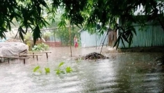 তিস্তার পানি কমছে, তবে বৃষ্টিতে ফের বাড়তে পারে নদীর পানি