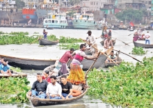 কচুরিপানা জমে থাকার কারণে নৌকা, ট্রলার ও লঞ্চ চলাচলের ভোগান্তির সৃষ্টি হয়  