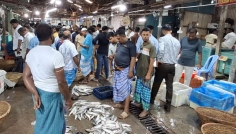 চাঁদপুরে কমেছে ইলিশের সরবরাহ, চড়া দামে হতাশ ক্রেতারা