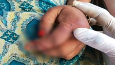 রান্নাঘরে লাকড়ি আনতে গিয়ে সাপের ছোবল, প্রাণ গেল গৃহবধূর