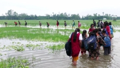 ভূরুঙ্গামারীতে জলাবদ্ধতা চরমে, দুর্ভোগে কয়েক হাজার মানুষ