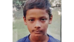 আলমডাঙ্গায় সাপের কামড়ে পঞ্চম শ্রেণির ছাত্রের মৃত্যু