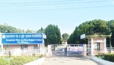গম-ভুট্টার চাষে নতুন সম্ভাবনা দেখাচ্ছে গবেষণা ইনস্টিটিউট