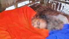 বৃষ্টিতে হেঁটে অসহায় সকিনার বাড়িতে ইউএনও, দিলেন সহায়তা