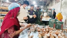কেক তৈরিতে পচা ডিম, রুচিকা ফুডকে ৪০ হাজার টাকা জরিমানা