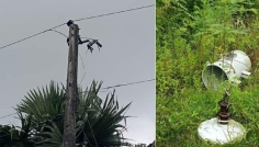 মতলব উত্তরে দেড় মাসে ১৯ ট্রান্সফরমার চুরি
