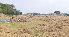 আগরতলা সীমান্তের পথে প্রান্তরে  