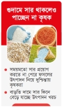 সারের কৃত্রিম সংকটে ক্ষুব্ধ কৃষক 