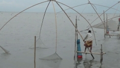 কিশোরগঞ্জের হাওরাঞ্চলে হুমকির মুখে জেলেদের জীবন-জীবিকা