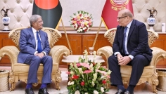 রাষ্ট্রপতির সঙ্গে পাকিস্তান হাইকমিশনারের সৌজন্য সাক্ষাৎ