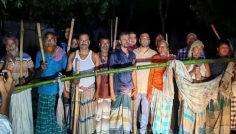 সিরাজগঞ্জে গরু চুরি রোধে বাঁশের ব্যারিকেড, জোরদার পুলিশের টহল