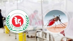 ২৪ ঘণ্টায় ডেঙ্গুতে ৮ জনের মৃত্যু, হাসপাতালে ২০৩৬
