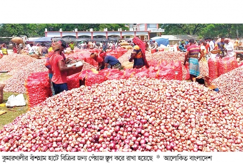 পেঁয়াজের উৎপাদন খরচ উঠছে না  