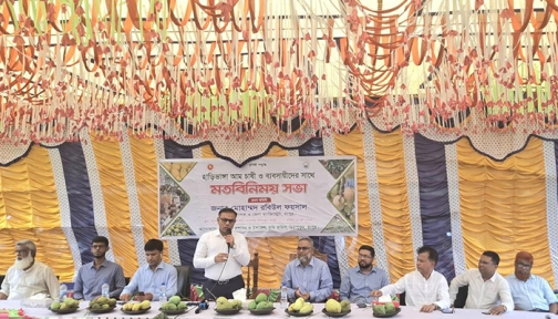রংপুরে হাড়িভাঙ্গা আম চাষীদের সঙ্গে জেলা প্রশাসকের মতবিনিময়