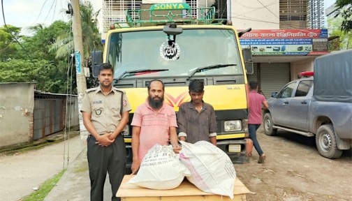 দিনাজপুরের বিরলে ২৬ কেজি গাঁজা ও ট্রাকসহ আটক ২