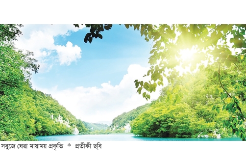 প্রাকৃতিক ভারসাম্য রক্ষায় ইসলাম  