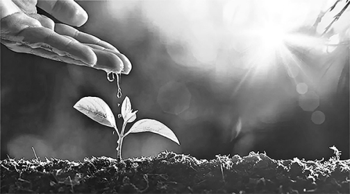 পরিবেশ সংরক্ষণে ইসলামি দৃষ্টিভঙ্গি ও আধুনিক প্রেক্ষাপট  