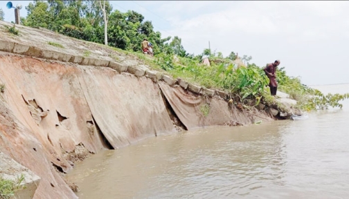 চিলমারীতে ব্রহ্মপুত্রের ডানতীর রক্ষা বাঁধে ফের ধস, আতঙ্কে স্থানীয়রা