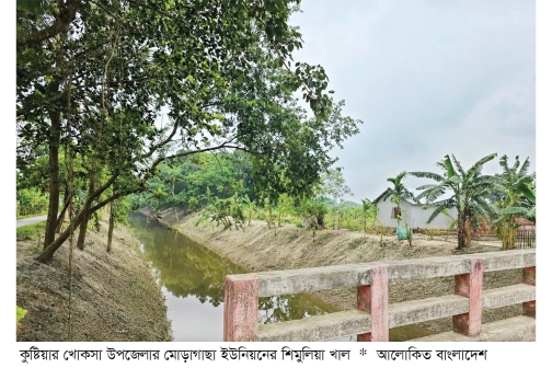 কুষ্টিয়া খোকসায় খাল পুনঃখননে কৃষকের স্বস্তি  